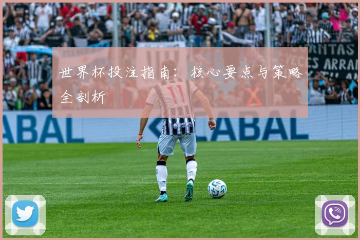 世界杯投注指南：核心要点与策略全剖析