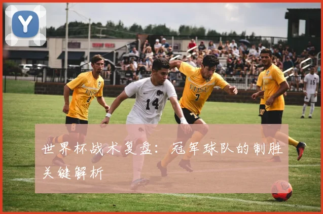 世界杯战术复盘：冠军球队的制胜关键解析