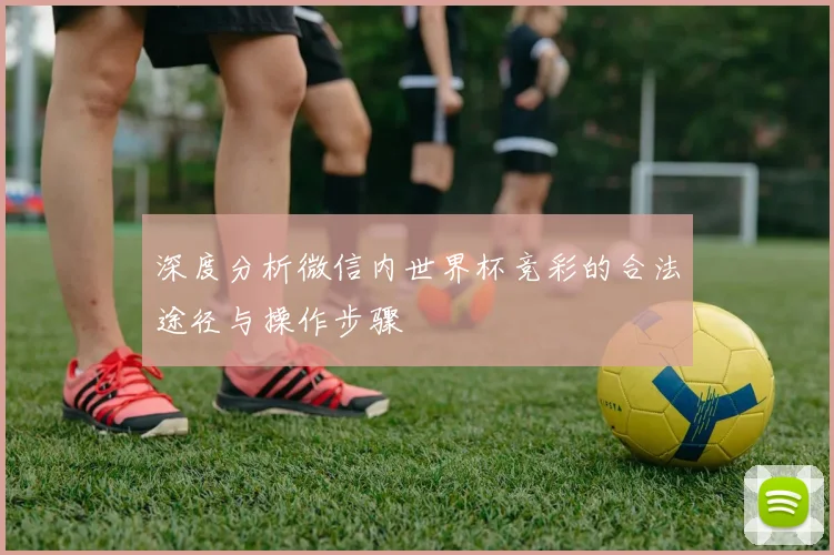 深度分析微信内世界杯竞彩的合法途径与操作步骤