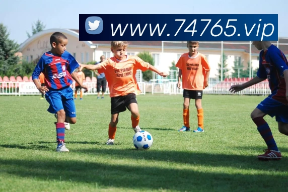 米兰体育网页官网服务体系